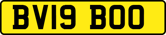 BV19BOO