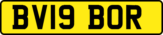 BV19BOR
