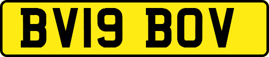 BV19BOV
