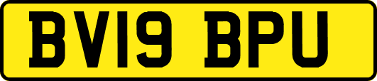 BV19BPU