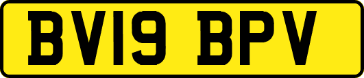 BV19BPV