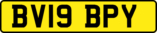 BV19BPY