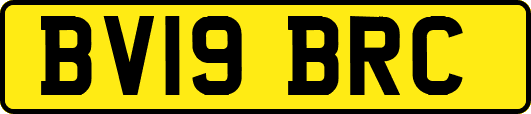 BV19BRC