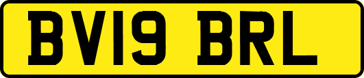 BV19BRL
