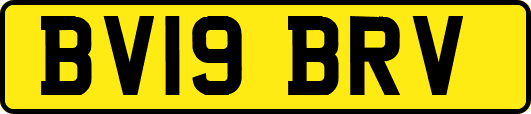 BV19BRV
