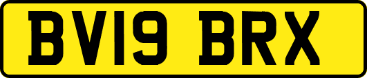 BV19BRX