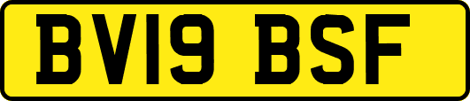 BV19BSF