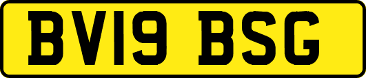 BV19BSG