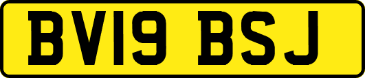 BV19BSJ