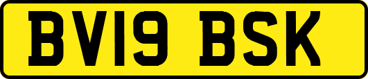 BV19BSK