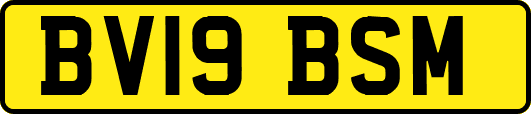 BV19BSM