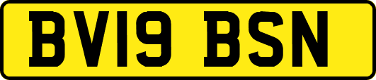 BV19BSN