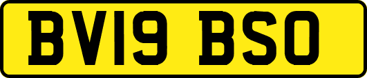 BV19BSO
