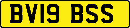 BV19BSS