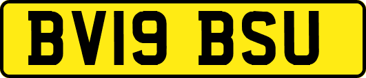 BV19BSU