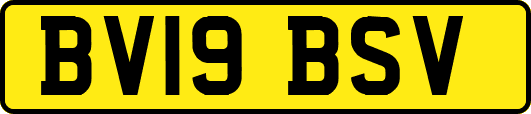 BV19BSV