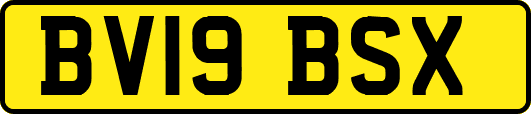 BV19BSX