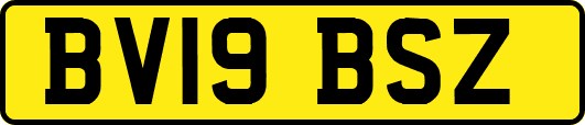 BV19BSZ