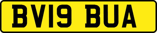 BV19BUA
