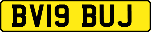 BV19BUJ
