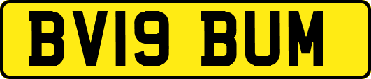BV19BUM