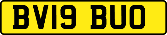 BV19BUO