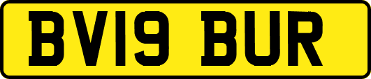 BV19BUR