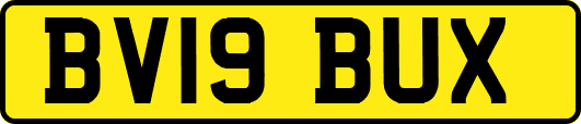 BV19BUX