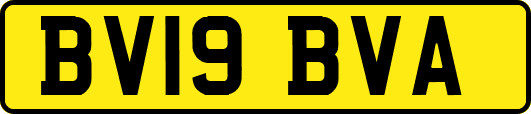 BV19BVA