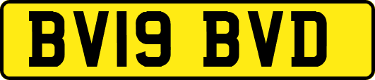 BV19BVD
