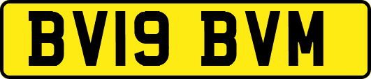 BV19BVM