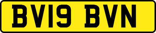 BV19BVN
