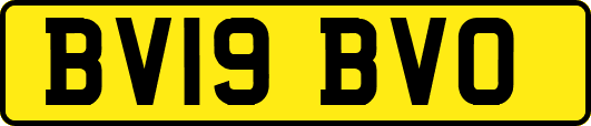 BV19BVO