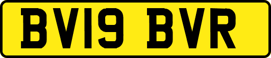 BV19BVR