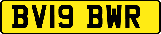 BV19BWR