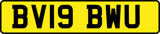 BV19BWU