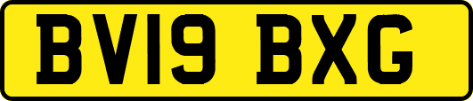 BV19BXG