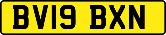 BV19BXN