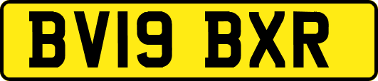 BV19BXR
