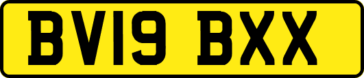 BV19BXX