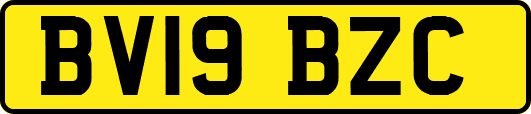 BV19BZC