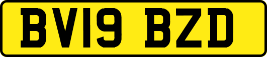 BV19BZD