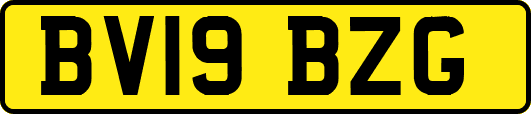 BV19BZG