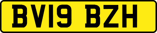 BV19BZH