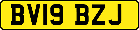 BV19BZJ