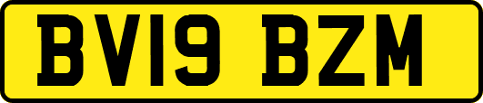BV19BZM