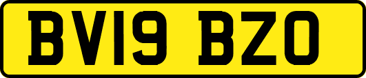 BV19BZO