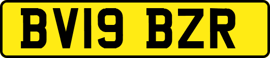 BV19BZR