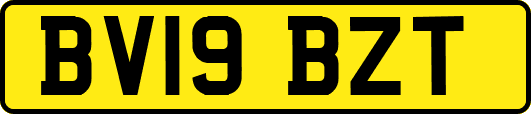 BV19BZT