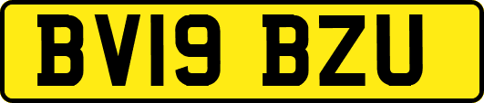 BV19BZU